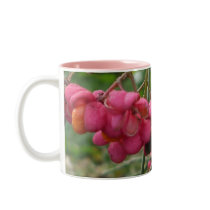 Fall Impressions 2010 (pink flowers) - Coffee Mug