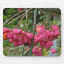 Fall Impressions 2010 (pink flowers) - Mousepad