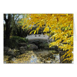 Fall in Chinese Garden