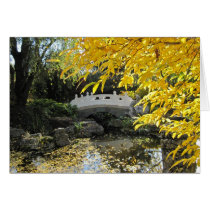 Fall in Chinese Garden