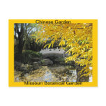 Fall in Chinese Garden