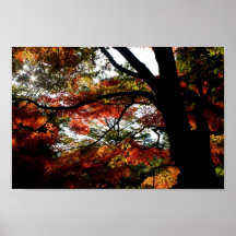 Fall in Japan Poster