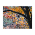 Fall in Love/Autumn Colours Post Card