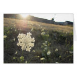 Fall in Portland card