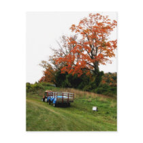 Fall in the Berkshires Postcards