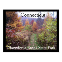 Fall in the Park Post Card