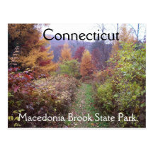 Fall in the Park Post Cards