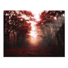 Fall in the woods postcard