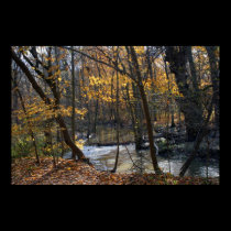 Fall In Wisconsin posters