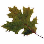 fall leaf 1 photo sculptures