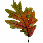 fall leaf 2 photo sculptures