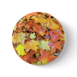 Fall Leaf buttons