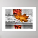 Fall Leaf posters