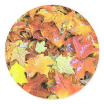Fall Leaf stickers