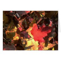Fall Leafs Greeting Card