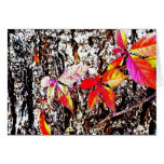 Fall Leaves Greeting Card