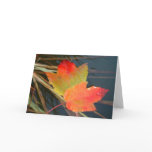 Fall Leaves - card