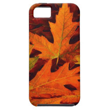 Fall leaves iphone5 case