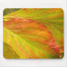 Fall Leaves Mouse Pad