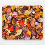 Fall Leaves-Mousepad