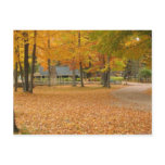 Fall Leaves Post Cards
