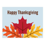 Fall Leaves Thanksgiving Postcard