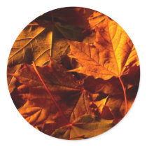 Fall Leaves Wedding Invitation Custom Seal Sticker