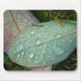 Fall Leaves With Early Morning Dew Mouse Pad