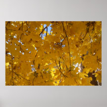 Fall Leaves Yellow Poster/ Print