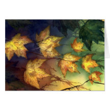 Fall Maple Leaves Cards