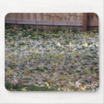 Fall Mouse Pads