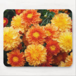 Fall Mums Mouse Mat