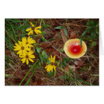 Fall Mushroom and Sunflowers Card