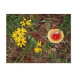 Fall Mushroom and Sunflowers Post Card
