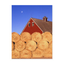 Fall on the Farm Postcard