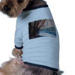 Fall on the New River pet clothing