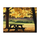 Fall picnic postcards