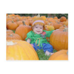 Fall Postcard