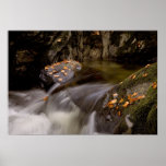 Fall Posters