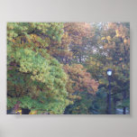 Fall posters