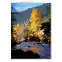 Fall Reflection cards