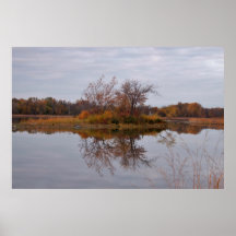 Fall Reflections Poster