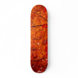 Fall Skateboard