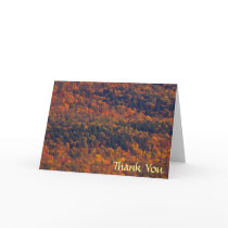 Fall Splendour Thank You Greeting Cards