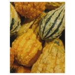 Fall Squash flyers