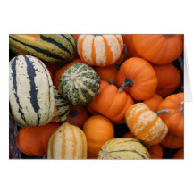 Fall Squash Harvest Greeting Cards