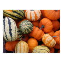 Fall Squash Harvest Postcards