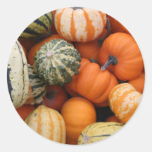 Fall Squash Harvest Round Stickers