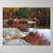 Fall time colours around the lake poster
