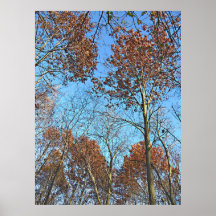 Fall Time Trees Digital Art Print